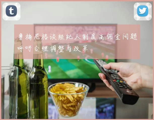 鲁梅尼格谈经纪人制度高佣金问题呼吁合理调整与改革