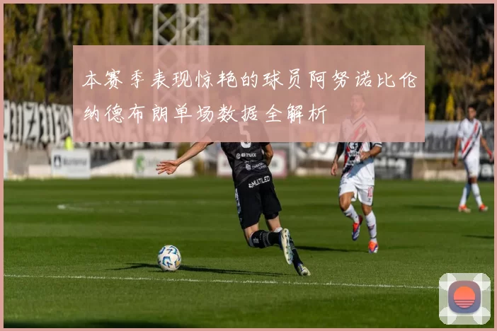本赛季表现惊艳的球员阿努诺比伦纳德布朗单场数据全解析