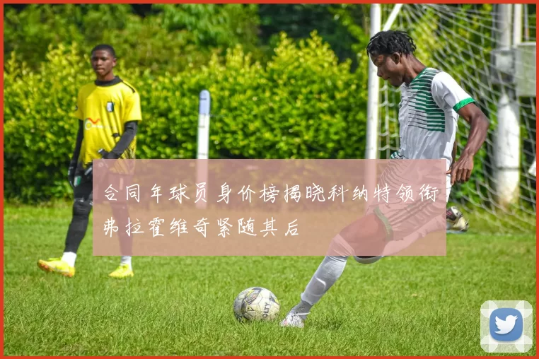 合同年球员身价榜揭晓科纳特领衔弗拉霍维奇紧随其后